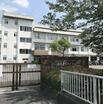 高校