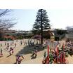 幼稚園、保育園