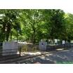公園
