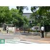大学