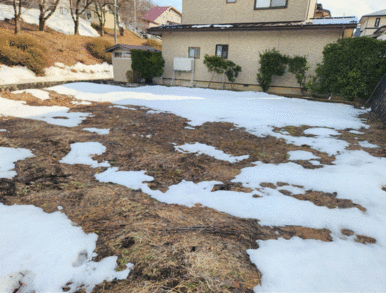 高台の大きい方の土地です！