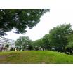 公園