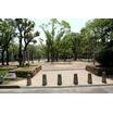 公園