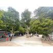 公園