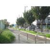 公園