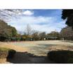 公園