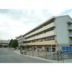 中学校