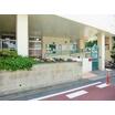 幼稚園、保育園