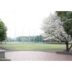 公園