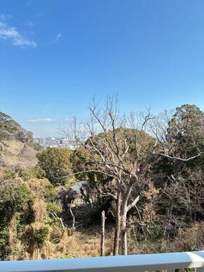 ※別部屋参考写真