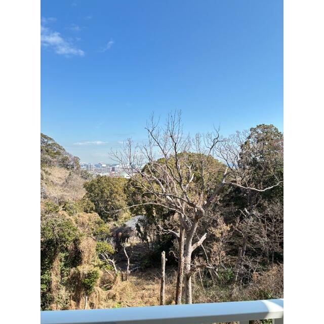※別部屋参考写真