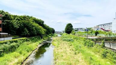 成城学園前駅へは野川を眺めるルートがおすすめ