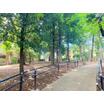 公園