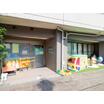幼稚園、保育園