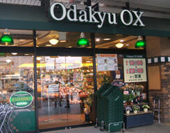 ＯｄａｋｙｕＯＸ長後店