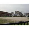 公園