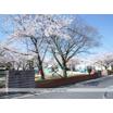 公園