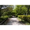 公園