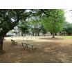 公園