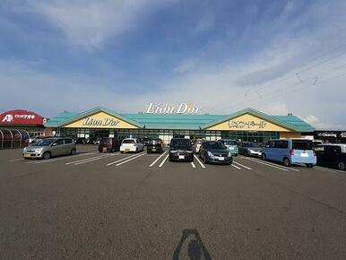 リオン・ドール　新津店