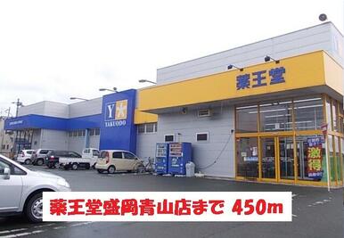 薬王堂盛岡青山店