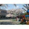 幼稚園、保育園