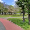 公園