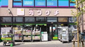 カワグチ大和田店