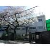 小学校