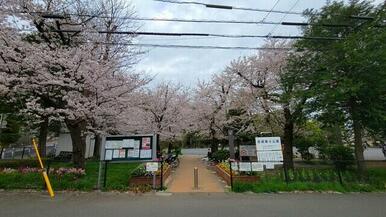 宮崎第４公園まで徒歩約12分（800ｍ）春には桜が綺麗に咲きます。