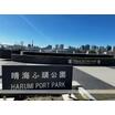 公園