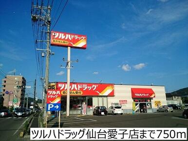 ツルハドラッグ仙台愛子店