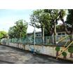 幼稚園、保育園