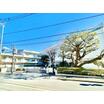 小学校