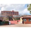 大学