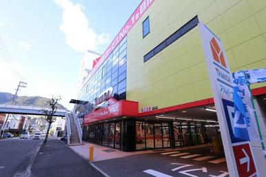 ヤマダ電機 テックランドアルパーク前店