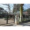 幼稚園、保育園