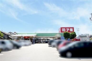 田子重セナ店