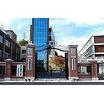 大学