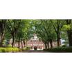 大学