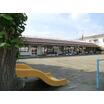 幼稚園、保育園