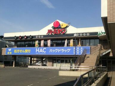 ハックドラッグ相鉄ライフ緑園都市店