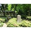 公園