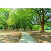 公園