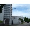 大学