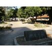 公園