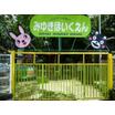 幼稚園、保育園