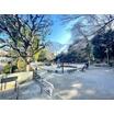 公園