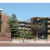 大学