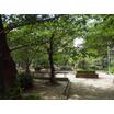 公園